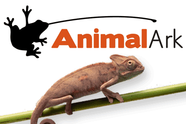 Animal Ark Wildlife Displays