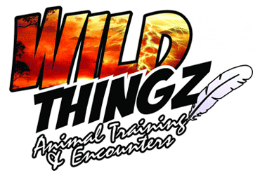 wild thingz party entertainment