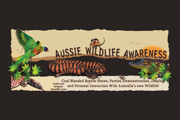 Aussie Wildlife Displays