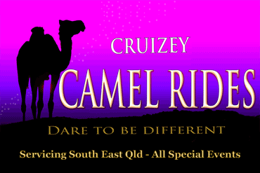 Cruizey Camel Rides