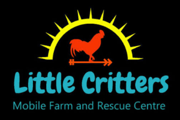 Little Critters Petting Zoo