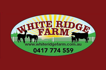 White Ridge Farm